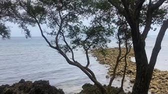 'Video thumbnail for A Nice Place to Chill with Family | Beach Resort In Cagayan de Oro | CDO Philippines Beach Resort'