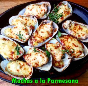 receta machas a la parmesana
